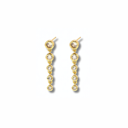 Bezel Long Earring