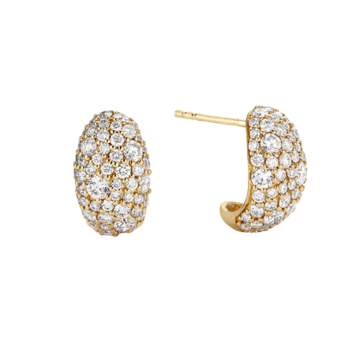 Pave Chunky Hook Earring